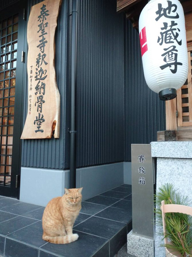 皆様のペットを供養する月例法要を令和7年1月21日午後3時半よりおこないます。